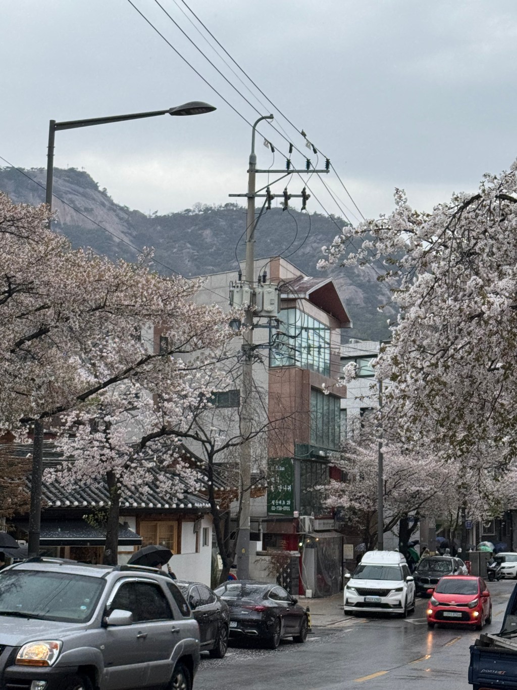 Discovering Seochon : A Hidden Gem of&nbsp;Seoul